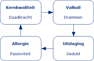 Kwaliteit: daadkracht; valkuil: drammen; uitdaging: geduld; allergie: passiviteit