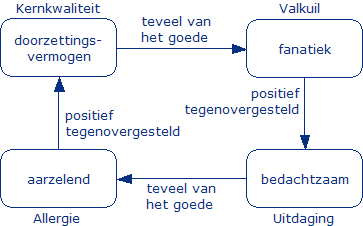 kernkwaliteit: doorzettingsvermogen; valkuil: fanatiek; uitdaging: bedachtzaam; allergie: traag